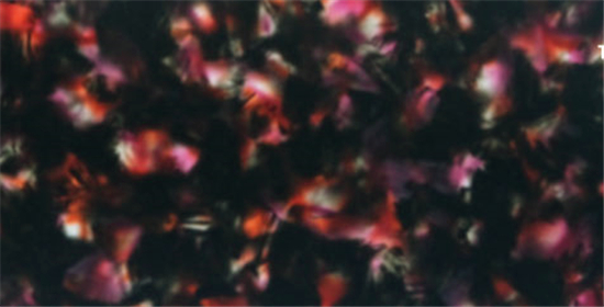 TQXA-0055
